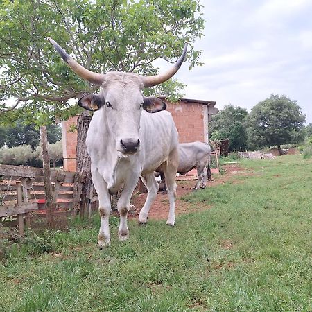 布罗托尼贾Ranch Radin住宿加早餐旅馆 外观 照片