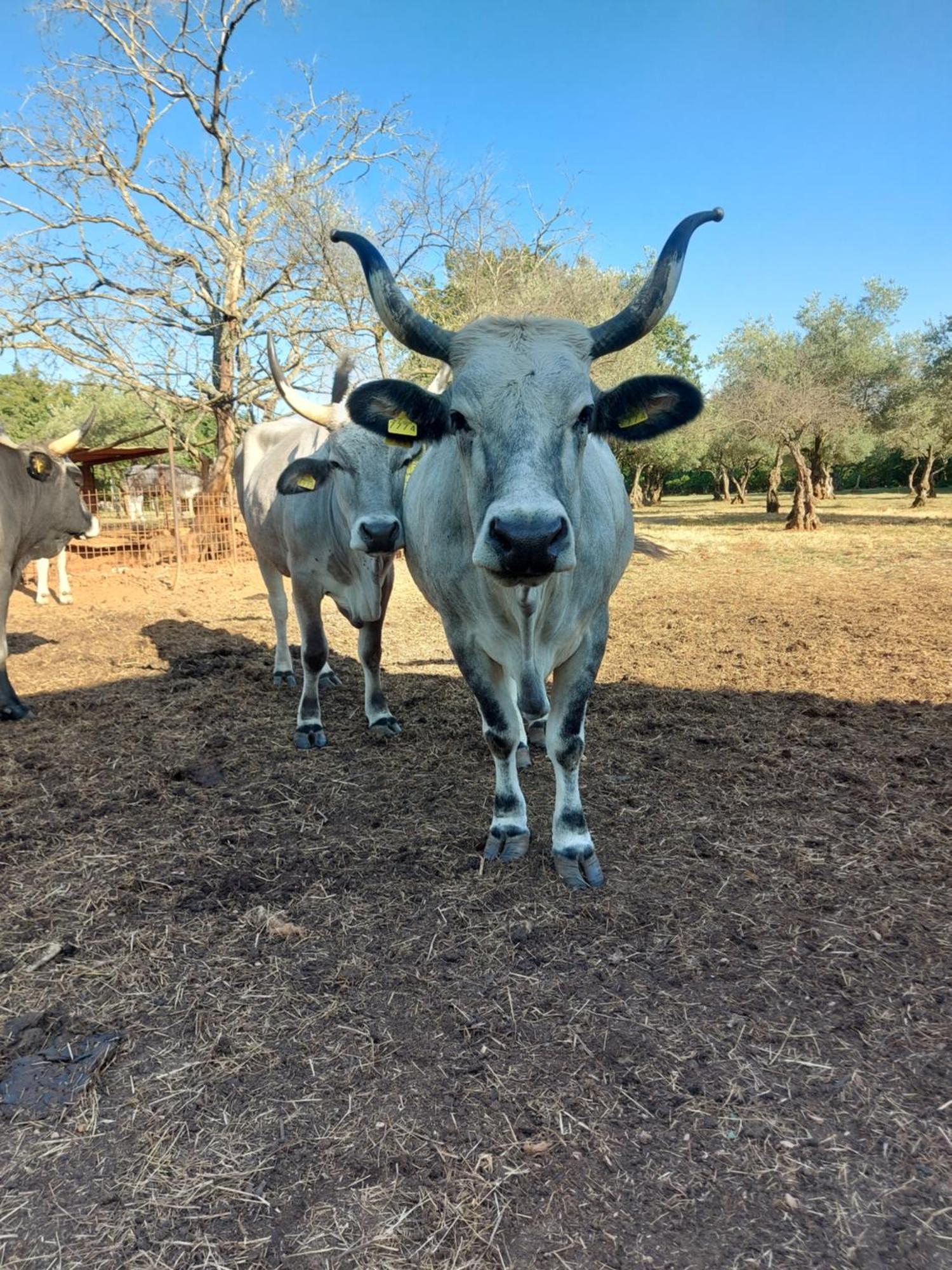 布罗托尼贾Ranch Radin住宿加早餐旅馆 外观 照片
