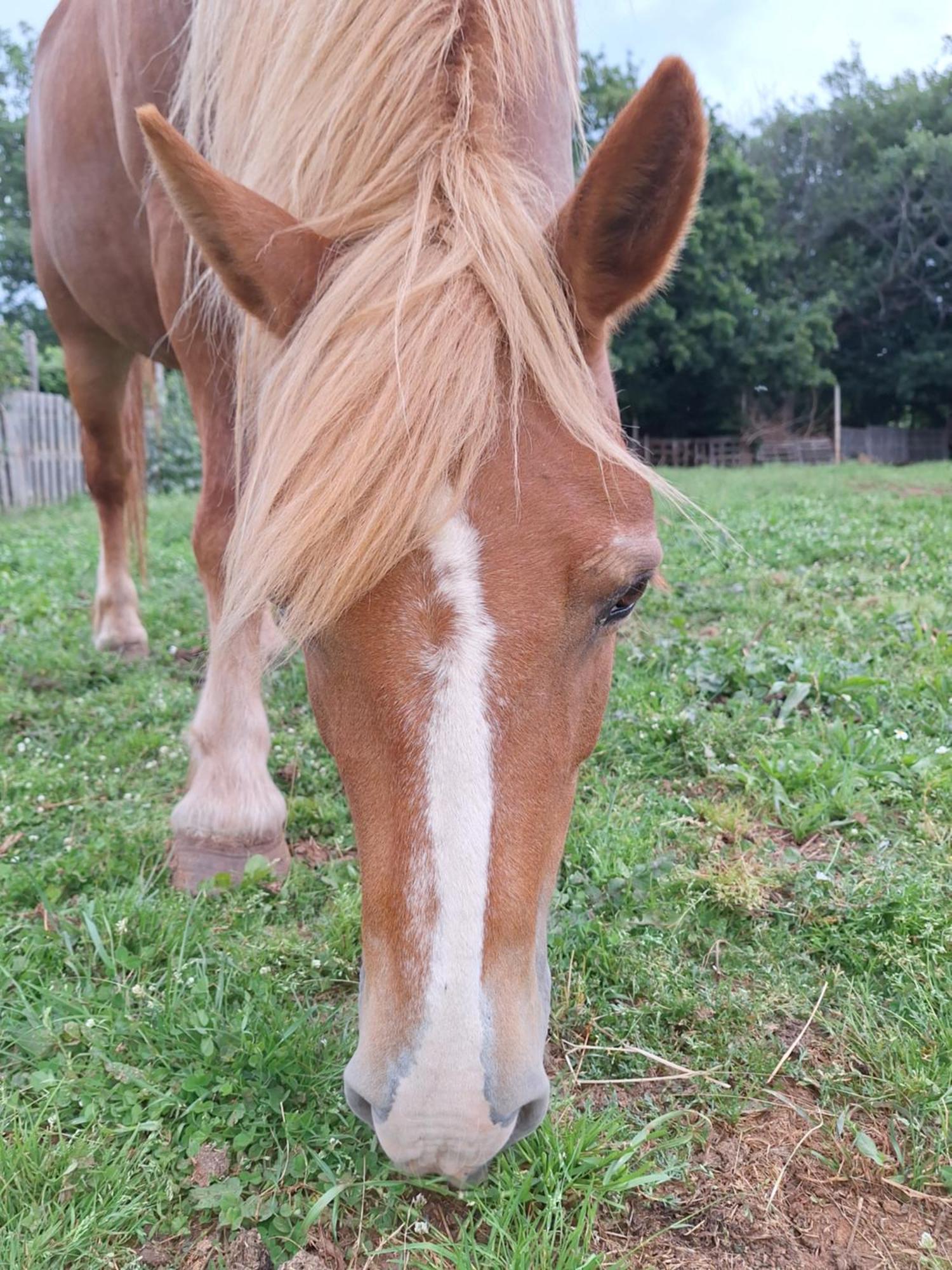 布罗托尼贾Ranch Radin住宿加早餐旅馆 外观 照片
