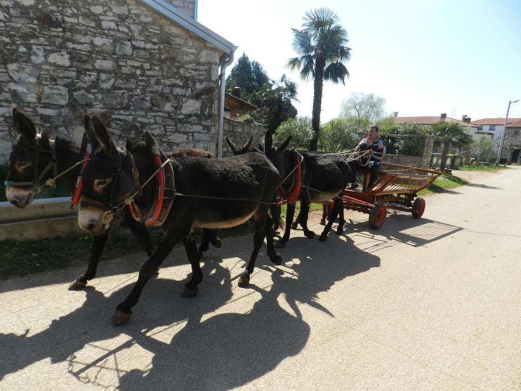 布罗托尼贾Ranch Radin住宿加早餐旅馆 外观 照片